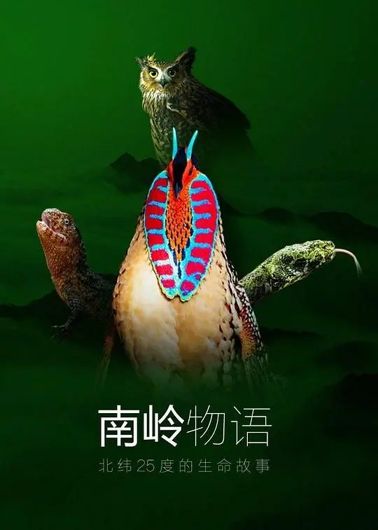 南岭物语：山水间的秘密与羁绊，一场关于爱与救赎的诗意旅程