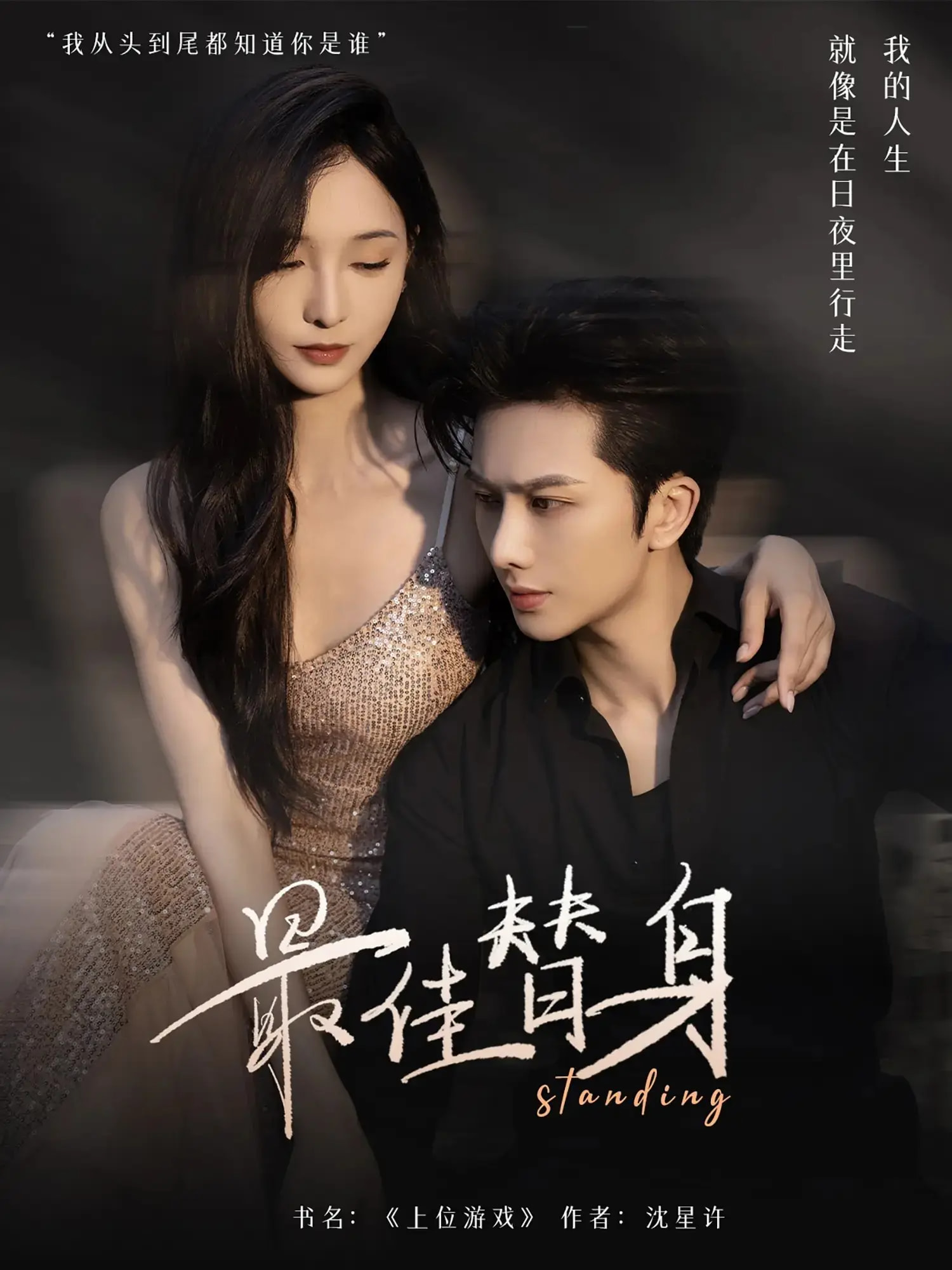 最佳替身：动作巨星的幕后英雄传奇