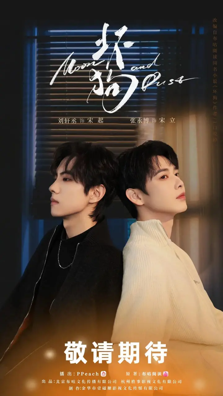 《坏狗》影评：一部让你笑中带泪的黑色喜剧，坏到极致反而动人！