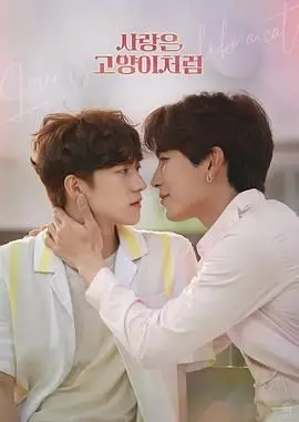 《爱情像猫一样》：跨国甜蜜恋曲，当霸总遇上猫系少女，心动指数爆表！