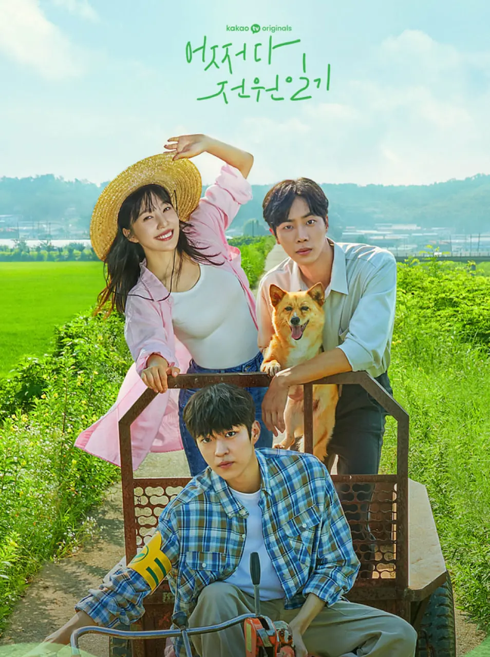 《偶然的田园日记》：都市丽人邂逅淳朴乡村，一段意想不到的治愈系浪漫之旅